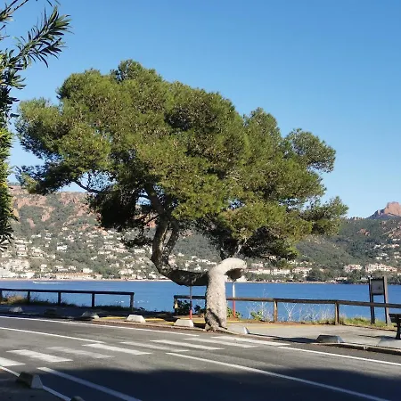 Cap Esterel Climatise Vue 公寓